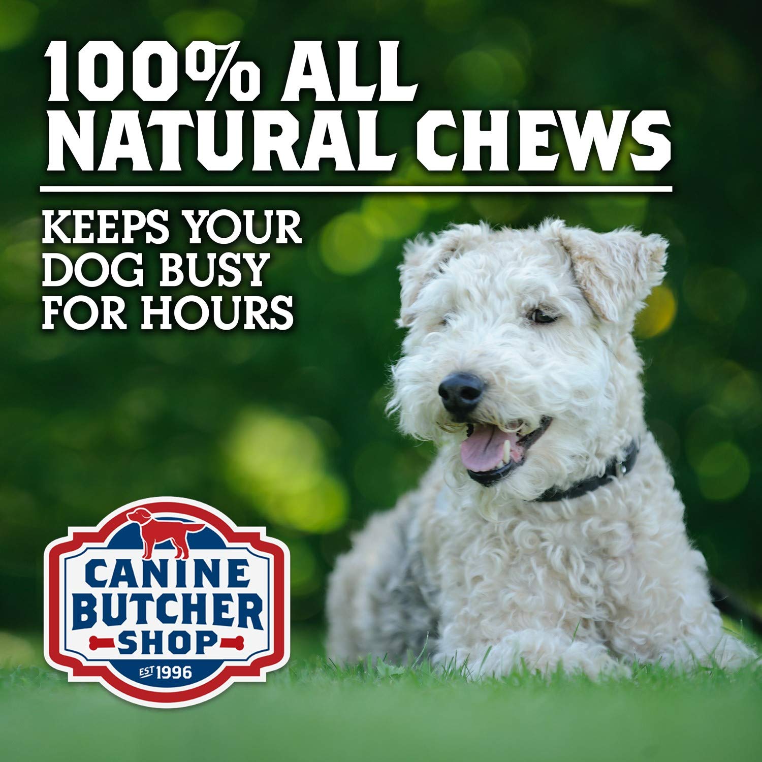 Canine Butcher Shop handmade dog chews in Chicago.