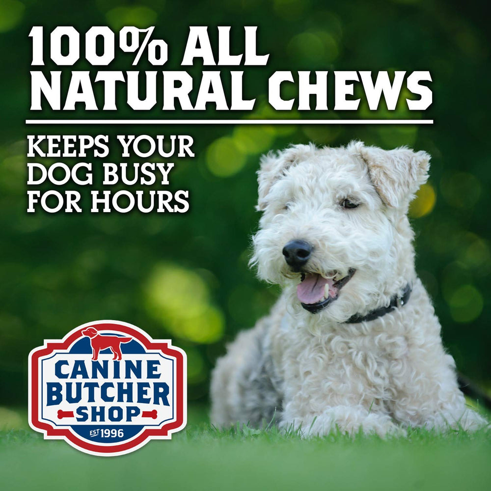 Canine Butcher Shop handmade dog chews in Chicago.