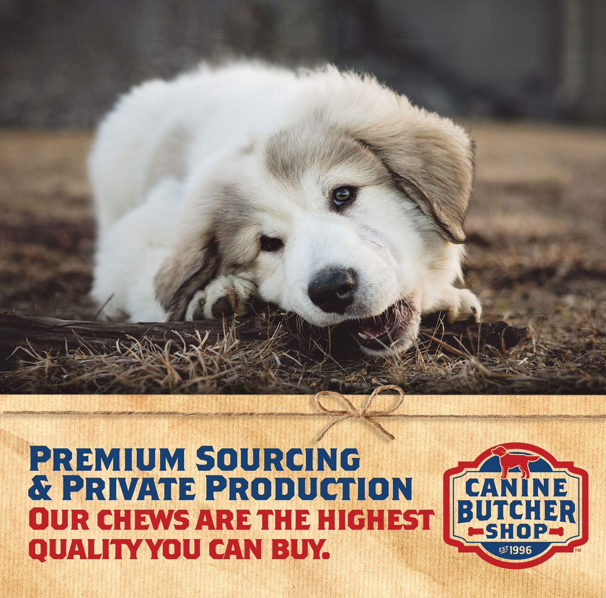 Canine Butcher Shop jumbo USA pig ears for longer-lasting chews.