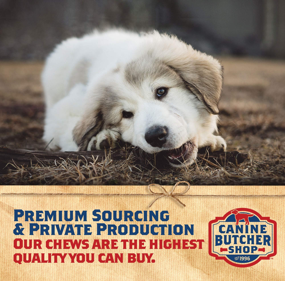 Canine Butcher Shop jumbo USA pig ears for longer-lasting chews.