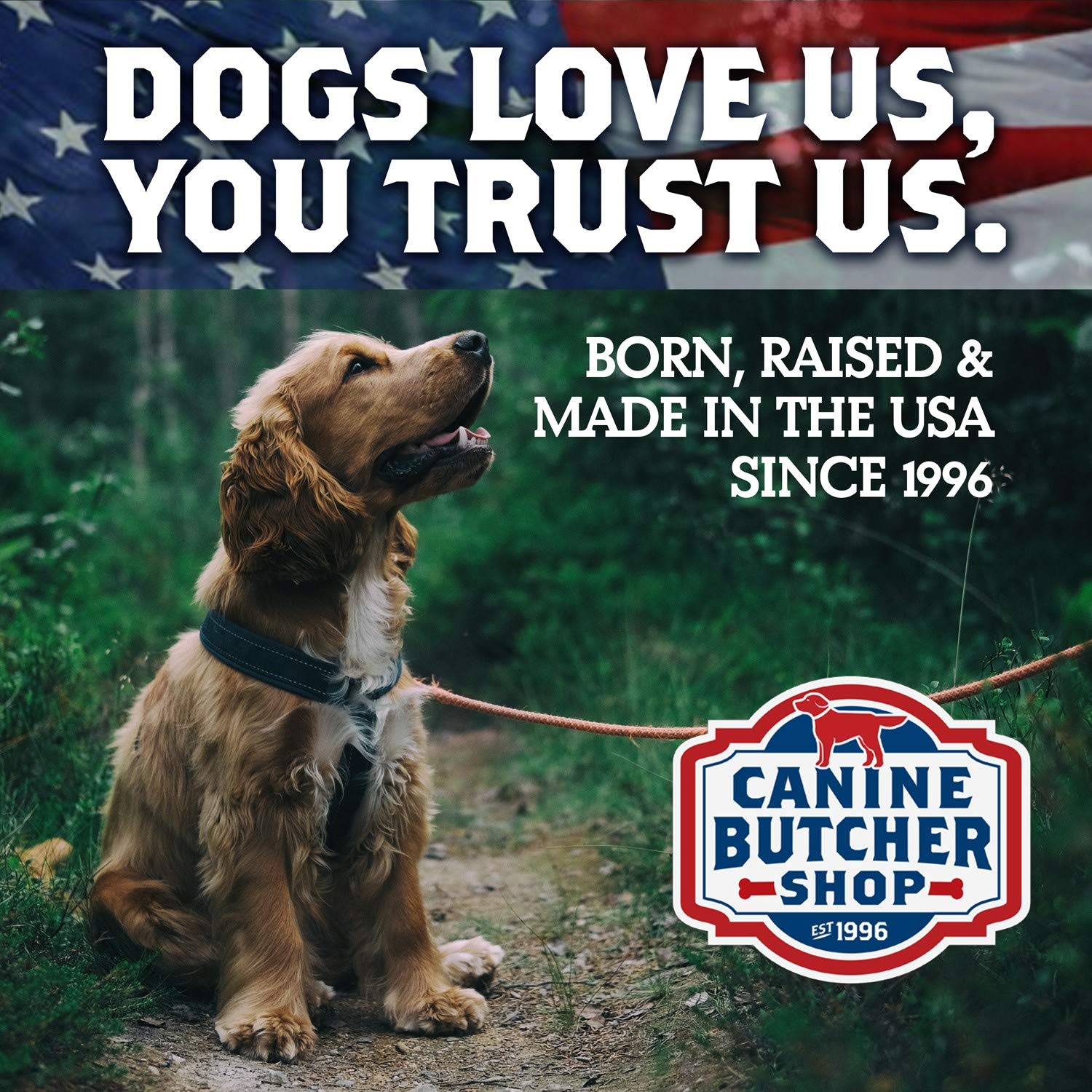 Canine Butcher Shop single-ingredient pig ear for simple, wholesome chewing.