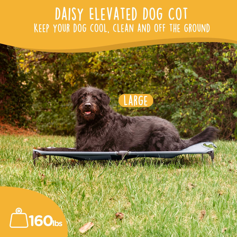 CANINE CANYON Daisy Cot elevated bed ready for setup on camping trips.