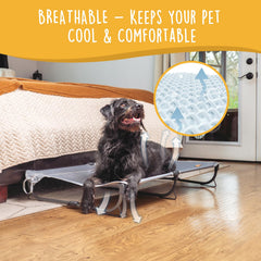 CANINE CANYON Daisy Cot features stable triangle supports for balanced weight distribution.