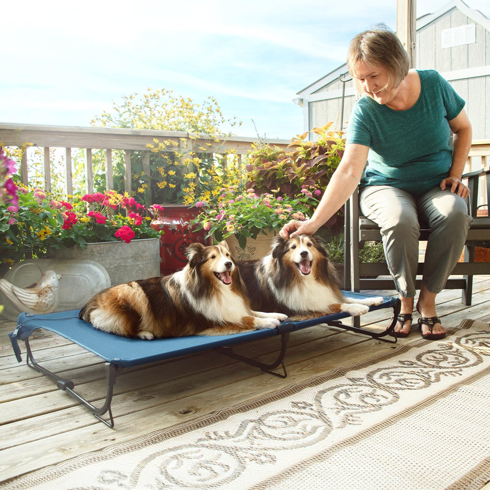 CANINE CANYON folding-raised-dog-bed supports up to 160 pounds securely.