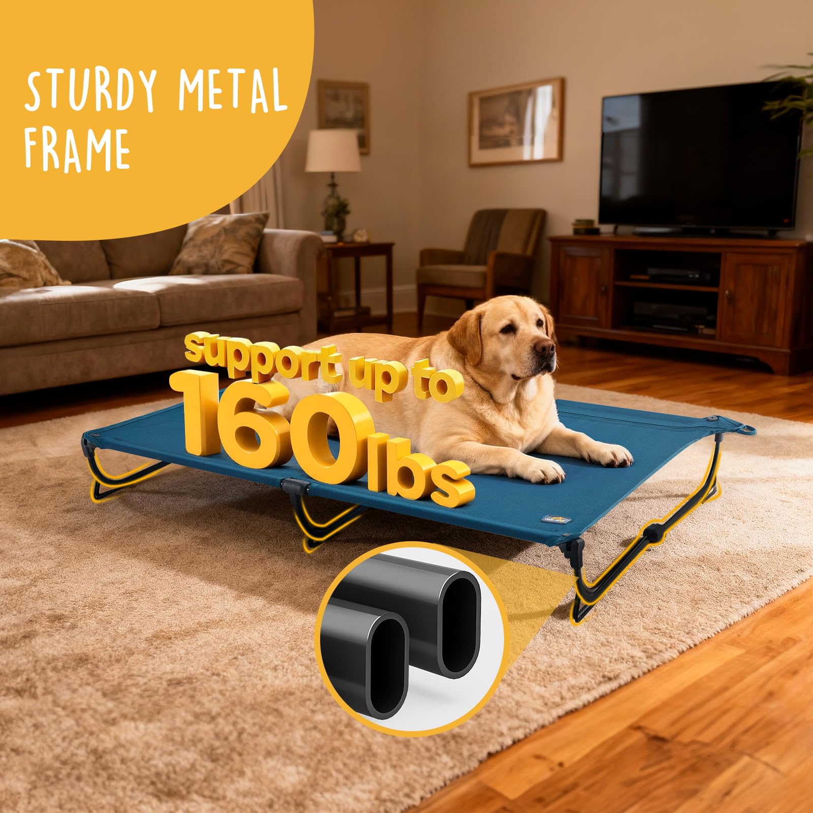 CANINE CANYON folding-raised-dog-bed no-assembly design for quick setup.