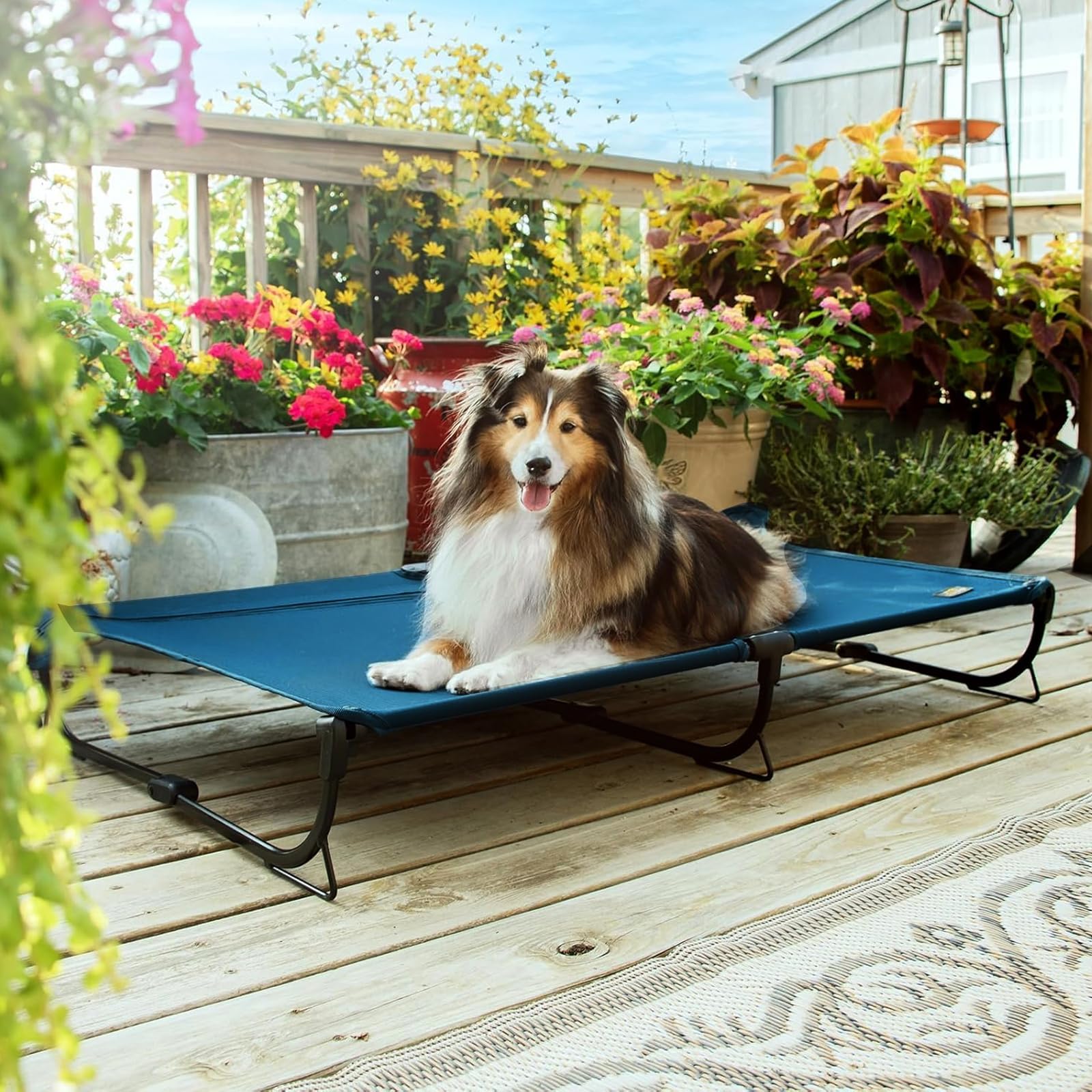 CANINE CANYON dog cot packed for camping and travel use