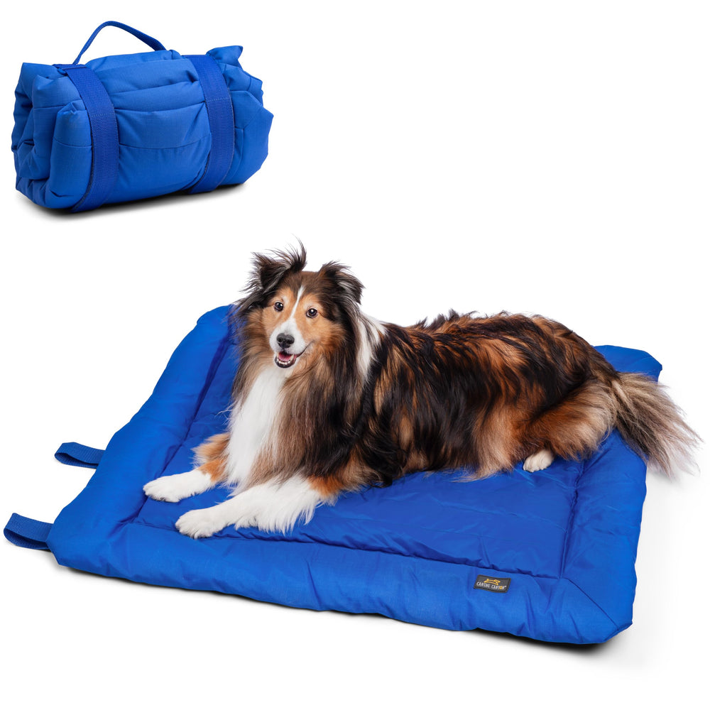 CANINE CANYON travel dog bed folded for compact storage and portability.