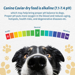 Canine Caviar Open Meadow ingredients highlight single-protein, pearl millet formula.