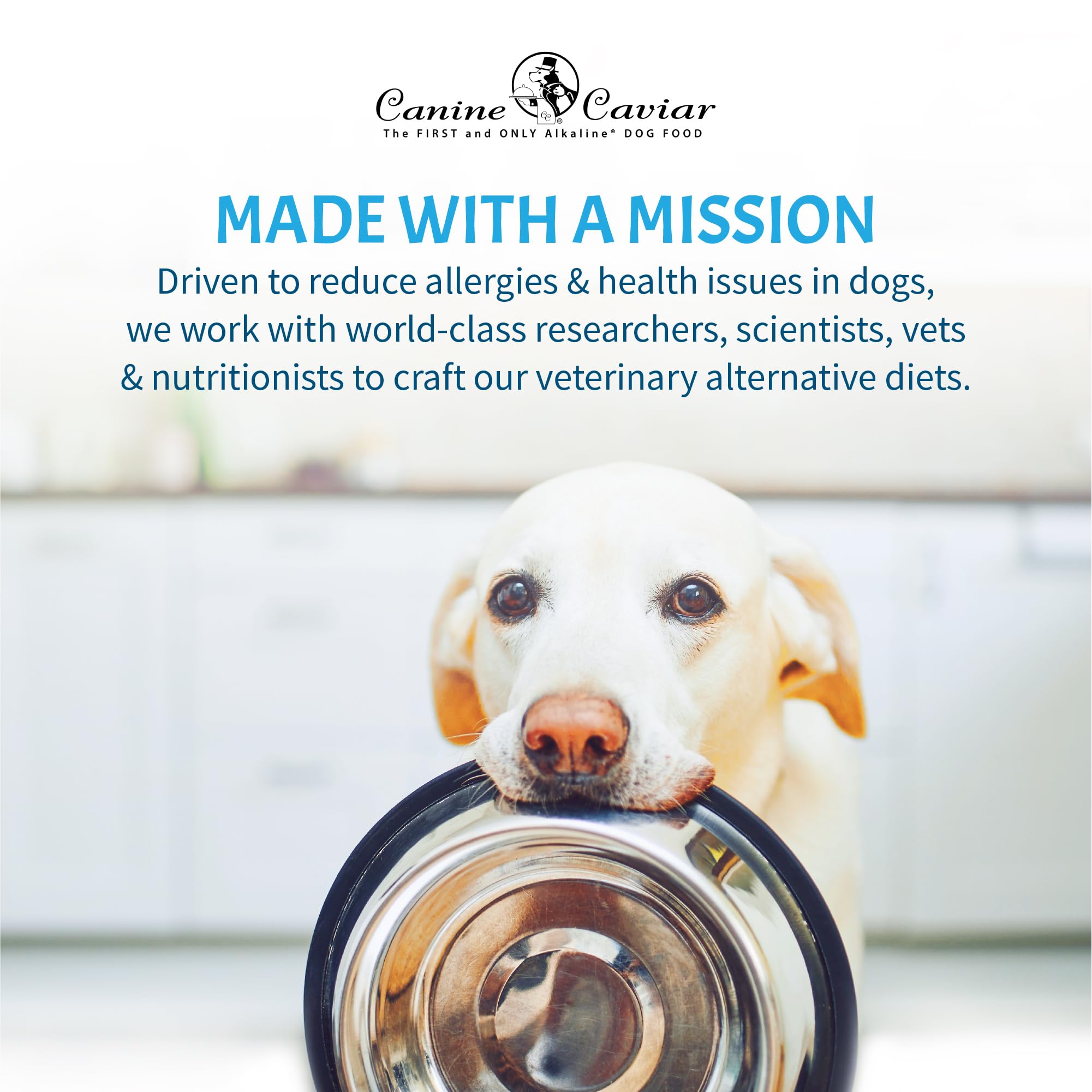 Canine Caviar Open Meadow made in USA, California facilities.