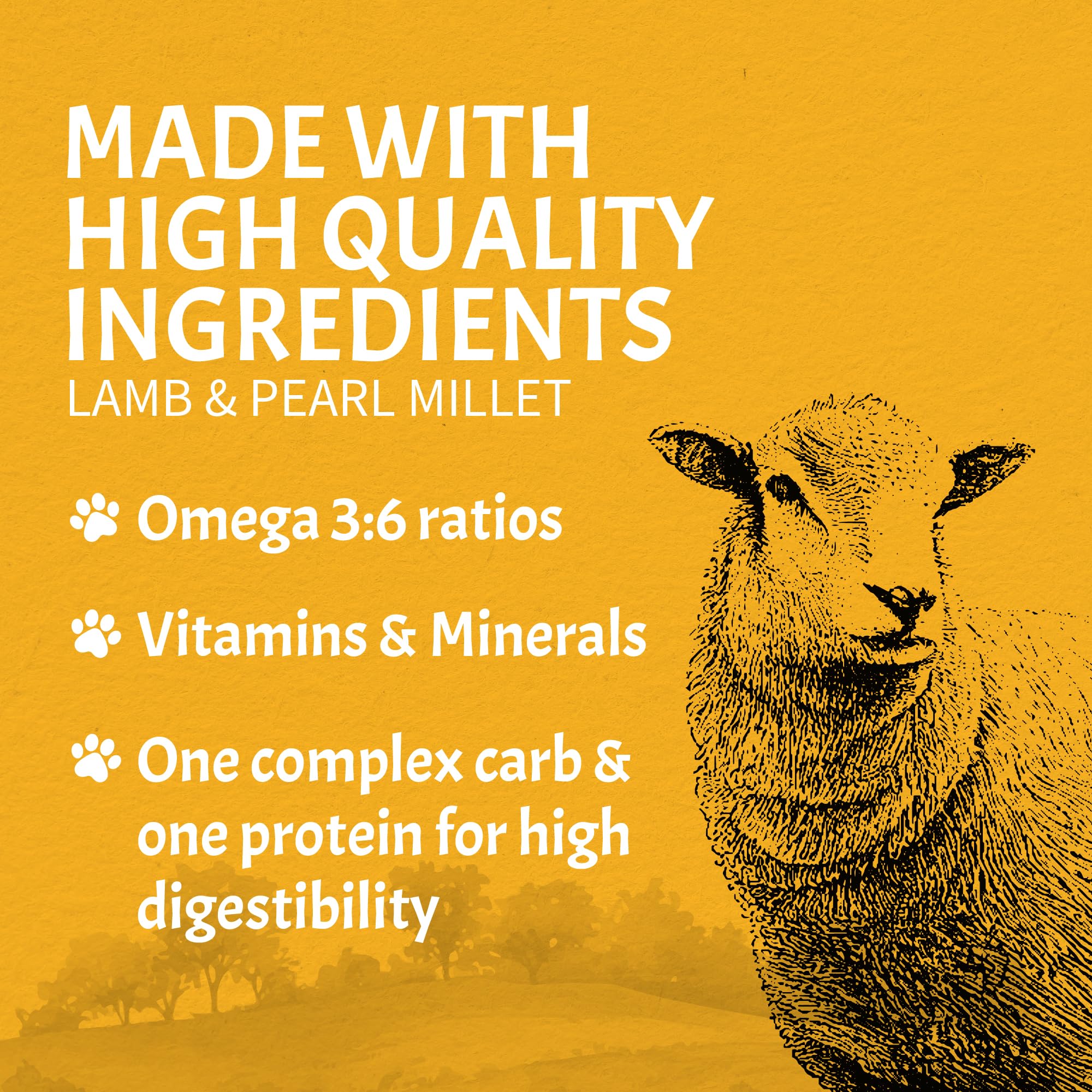 Canine Caviar Open Meadow packaging emphasizes USA-made, high-quality nutrition.