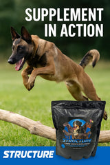 Canine Performance Nutrition Structure egg-yolk protein visuals highlight human-grade protein for strong puppy growth