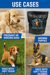 Canine Performance Nutrition Structure probiotics enzymes imagery emphasizes gut health and nutrient absorption