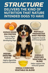 Canine Performance Nutrition Structure whey protein concentrate visuals show complete protein support for energy