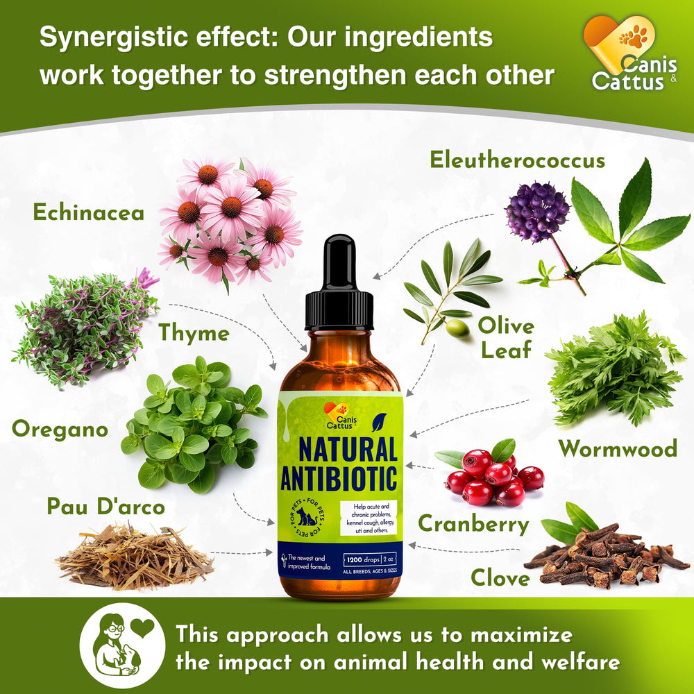 Canis&Cattus immune-support herbal blend showcases ingredients for immune wellness.