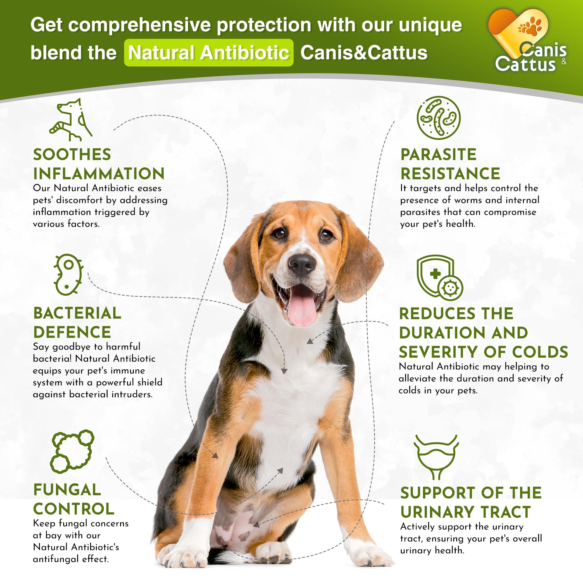Canis&Cattus natural antibiotic liquid for cats mixing into food aids gentle infection support.