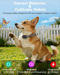 Canivix dog collar training modes with beeps, vibrations, and static stimulation.