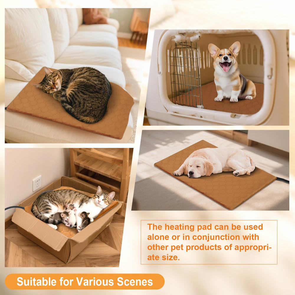 CANMIL pets using pad in living room show convenient warmth on chilly days.