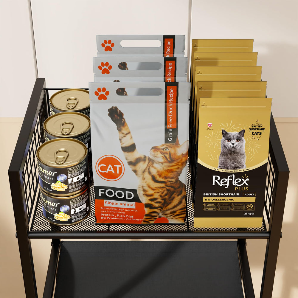 Canyave 4in1 feeding station with dual bowls supports easy meals and hydration.