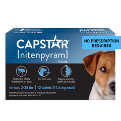 Capstar bottle close-up illustrating fast-acting flea treatment for dogs.