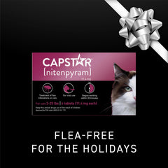Capstar cat dead fleas falling off after treatment