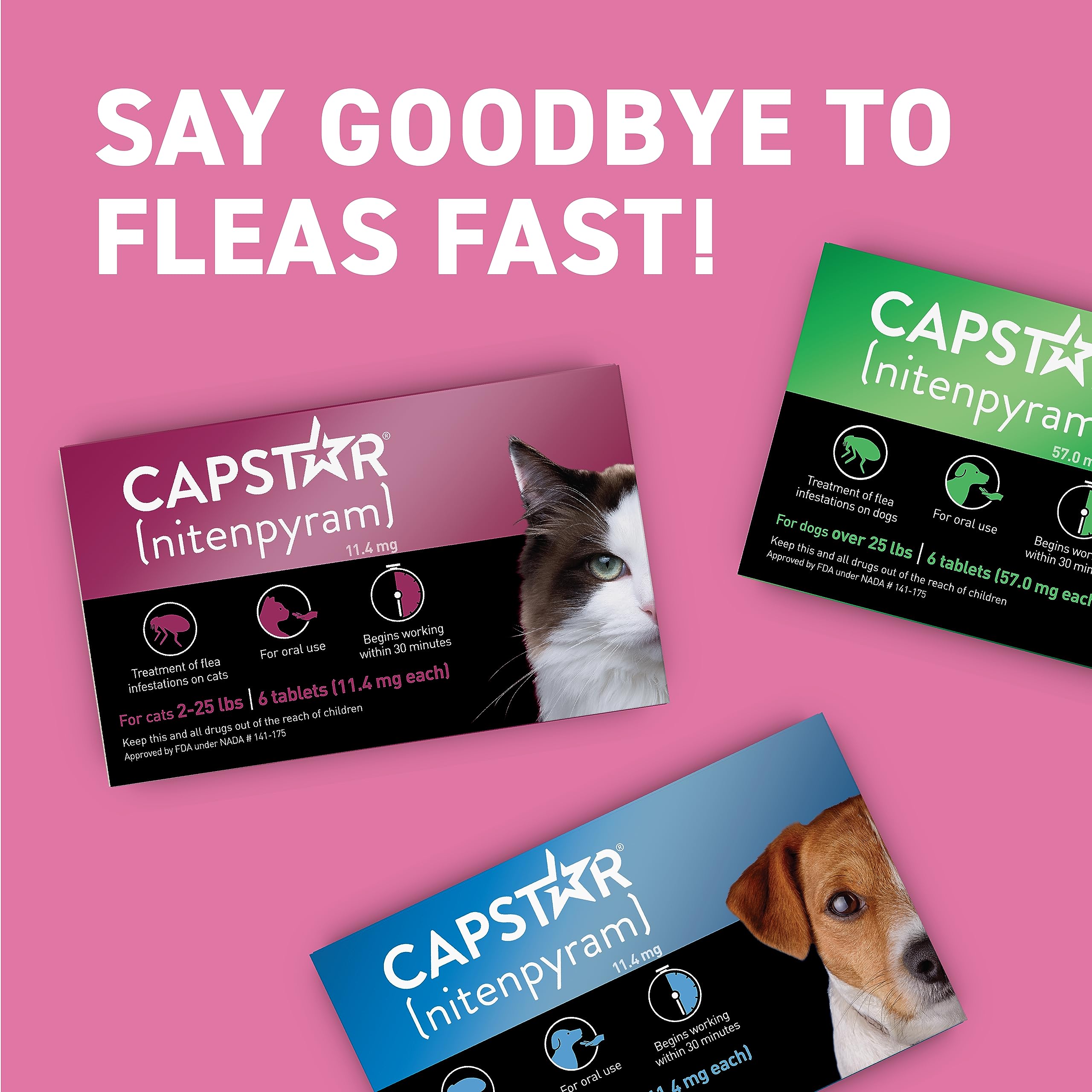 Capstar cat pet care quick relief after flea exposure