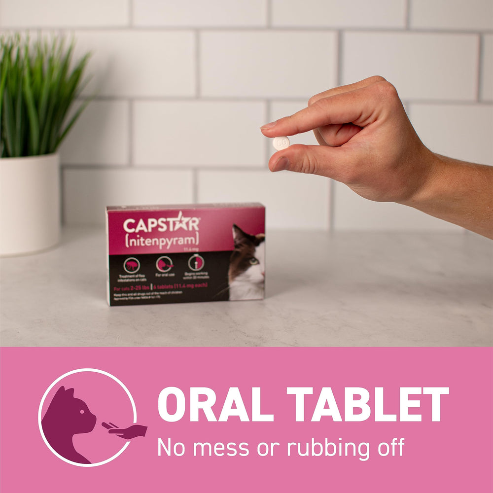 Capstar cat reinfestation prevention via daily dosing