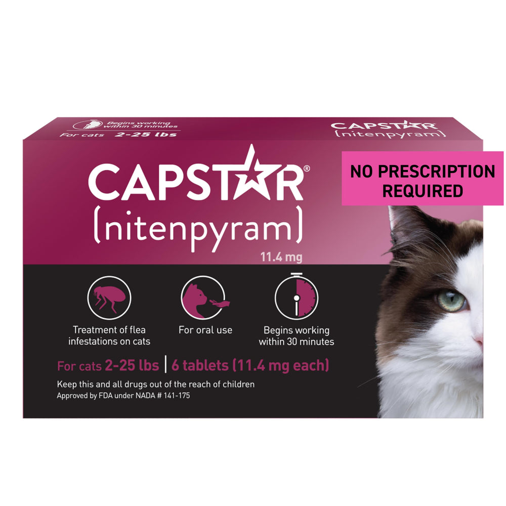Capstar cat tablet in mouth for fast flea relief