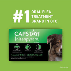 Capstar shows dead fleas on fur after quick flea treatment.