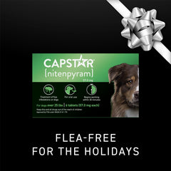 Capstar dog flea tablet dosing shown for rapid flea relief at home.
