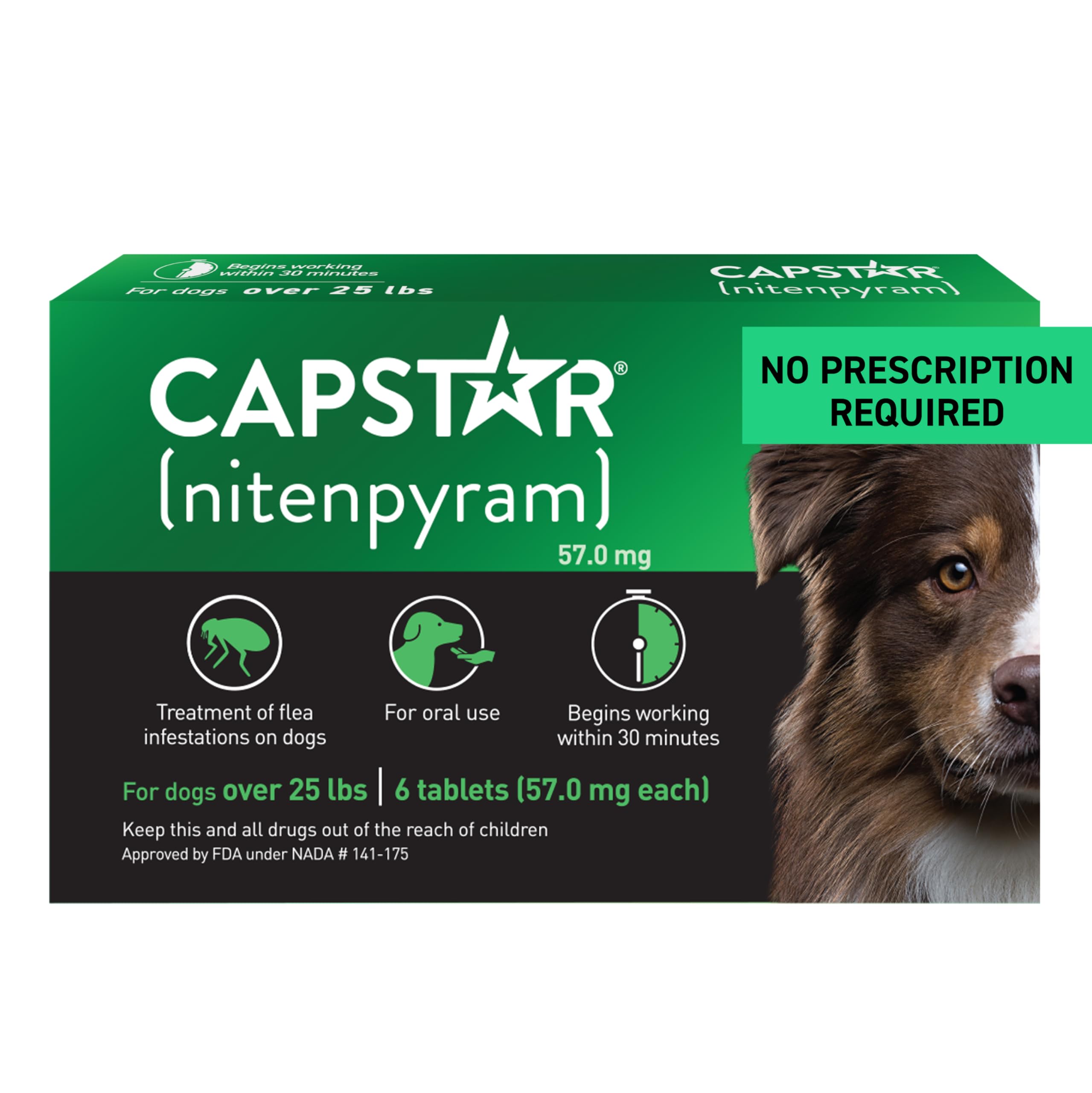 Capstar dog flea tablet packaged for quick at-home flea relief.