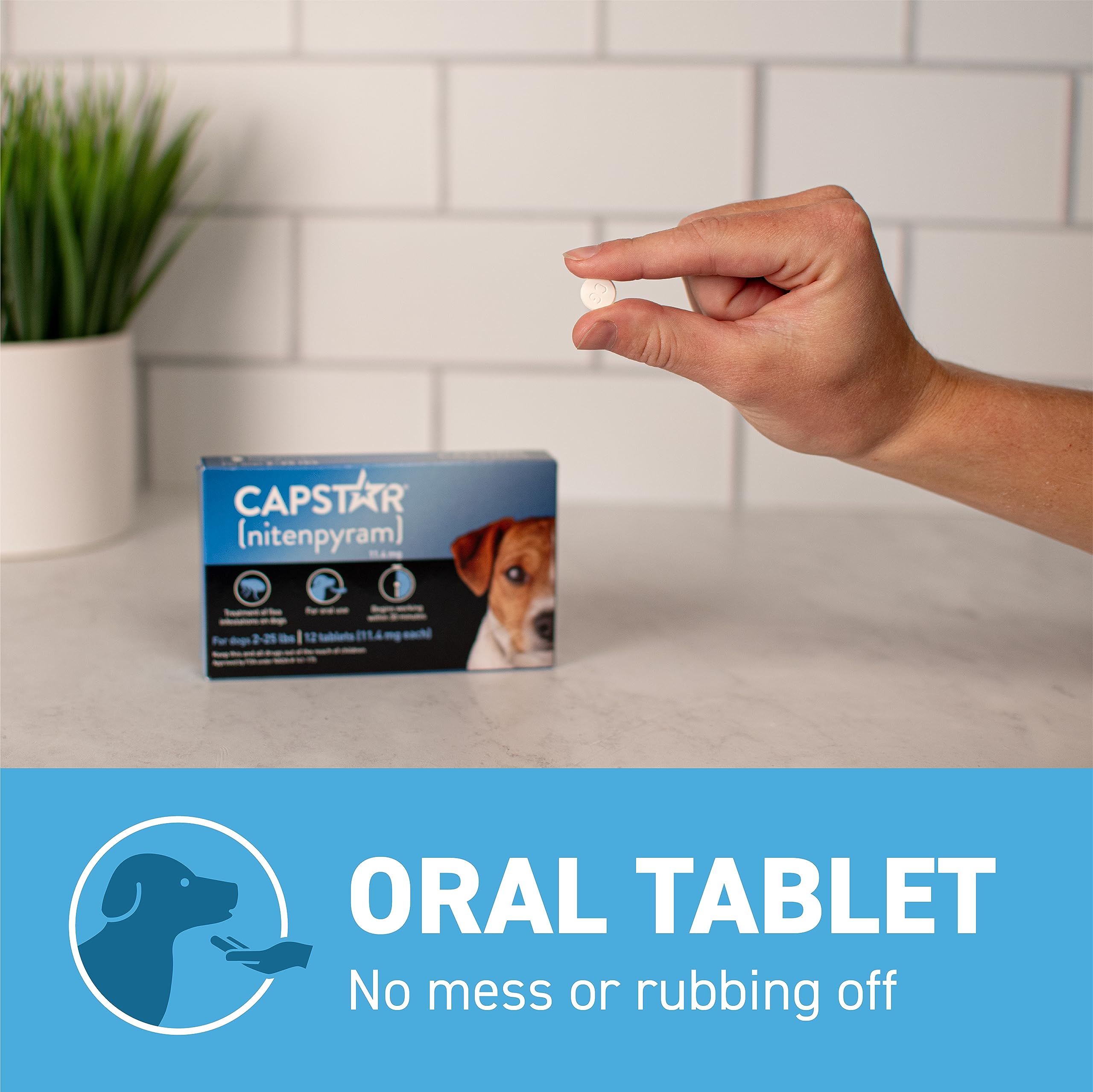 Capstar OTC flea medicine on store shelf.
