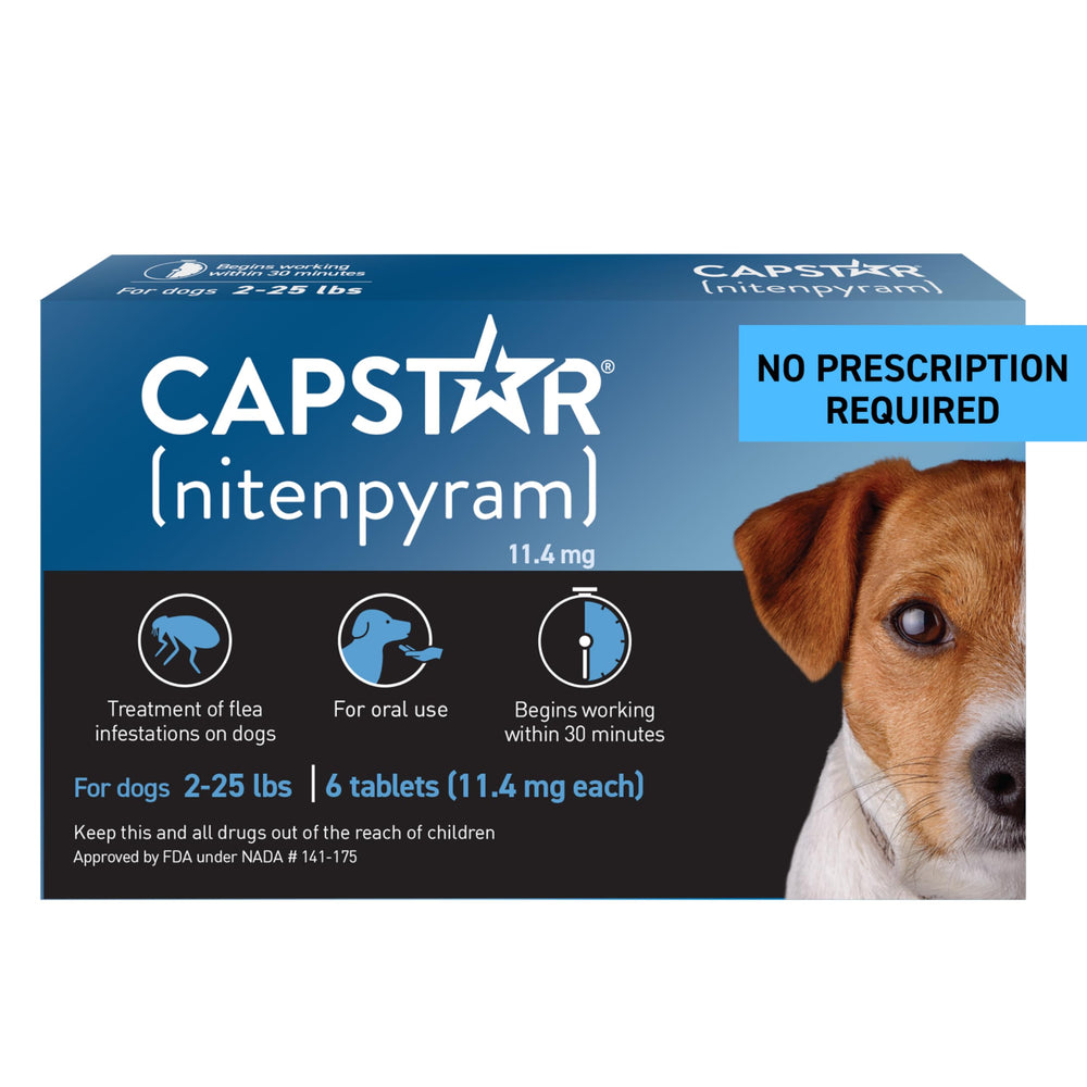 Capstar packaging for dog flea treatment—OTC option for fast relief.