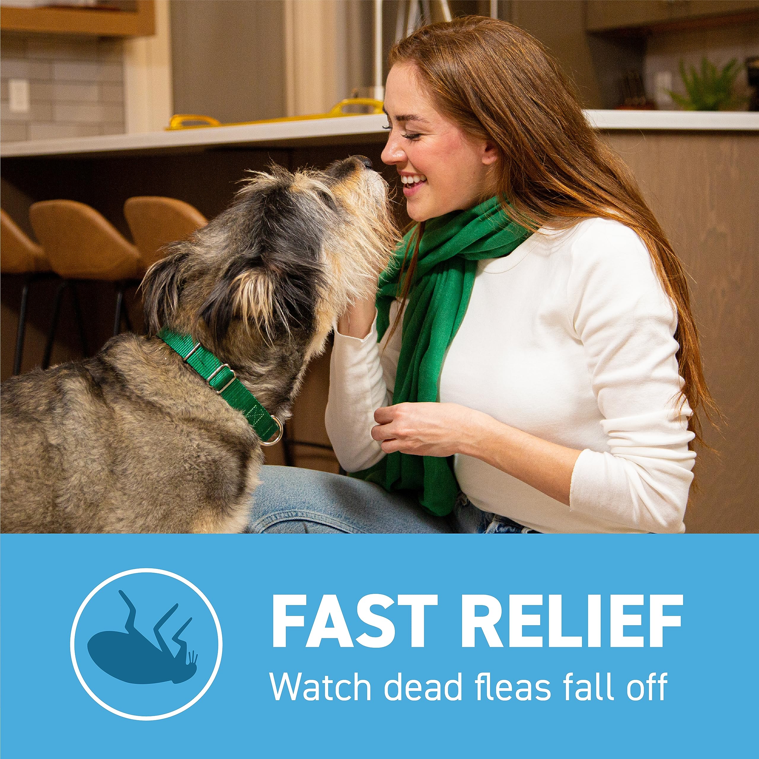 Capstar reinfestation dosing—repeat once daily as needed.