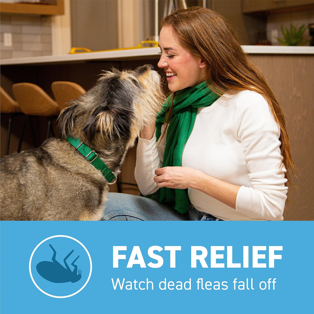 Capstar reinfestation dosing—repeat once daily as needed.