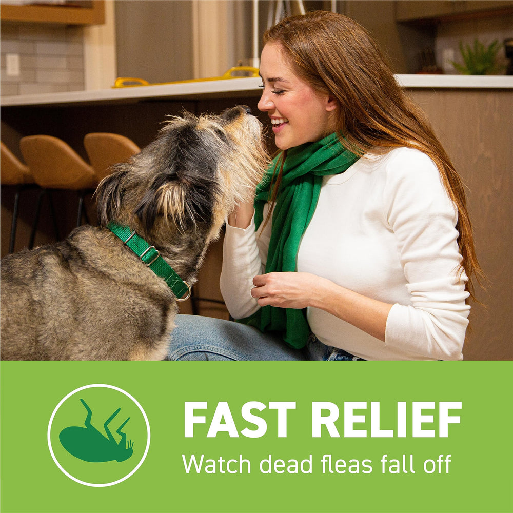 Capstar reinfestation dosing practiced during a flea comeback.