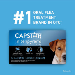 Capstar tablet in a dog's mouth for easy dosing.