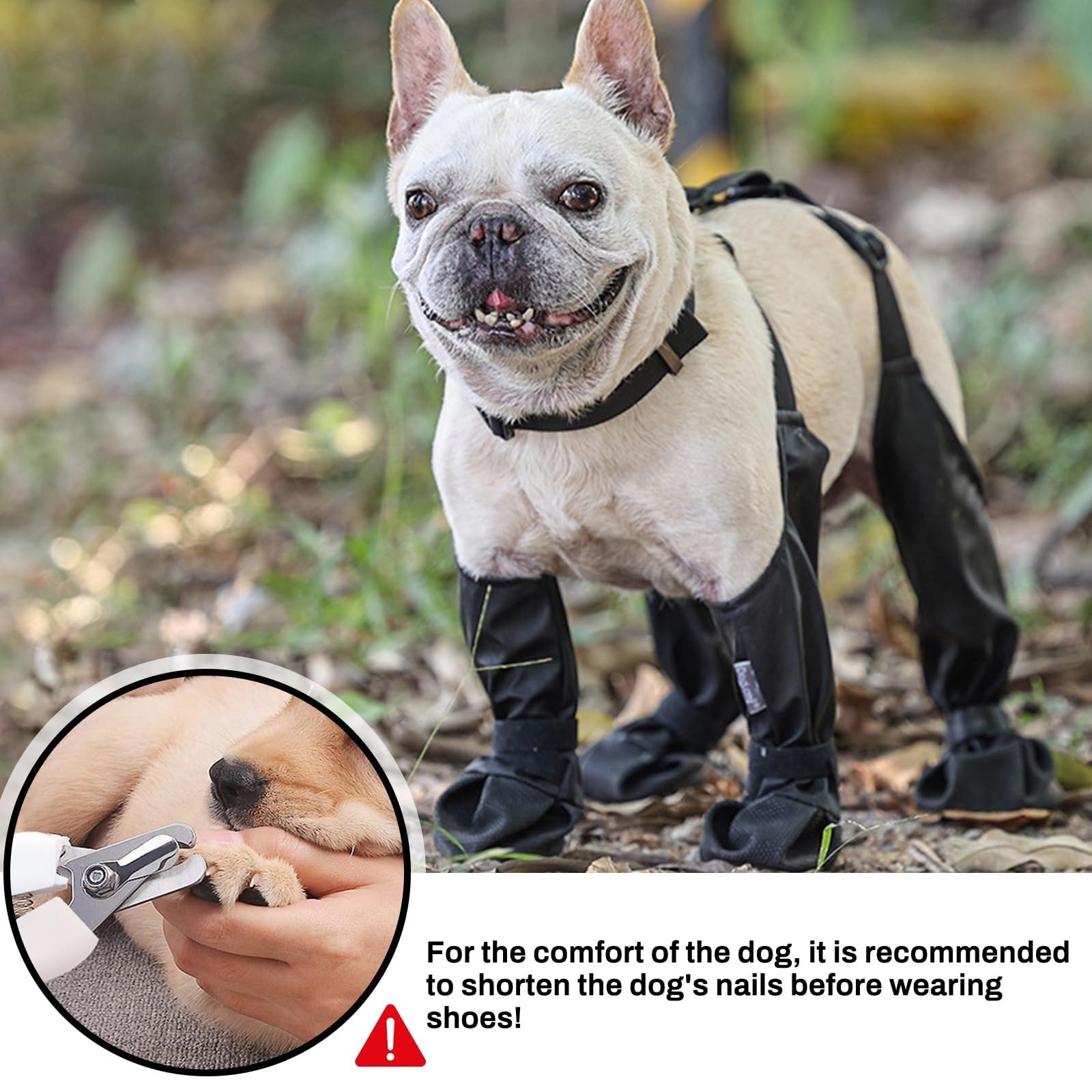 CAPT.SNOOZE dog boots in use protect paws in rain or snow.