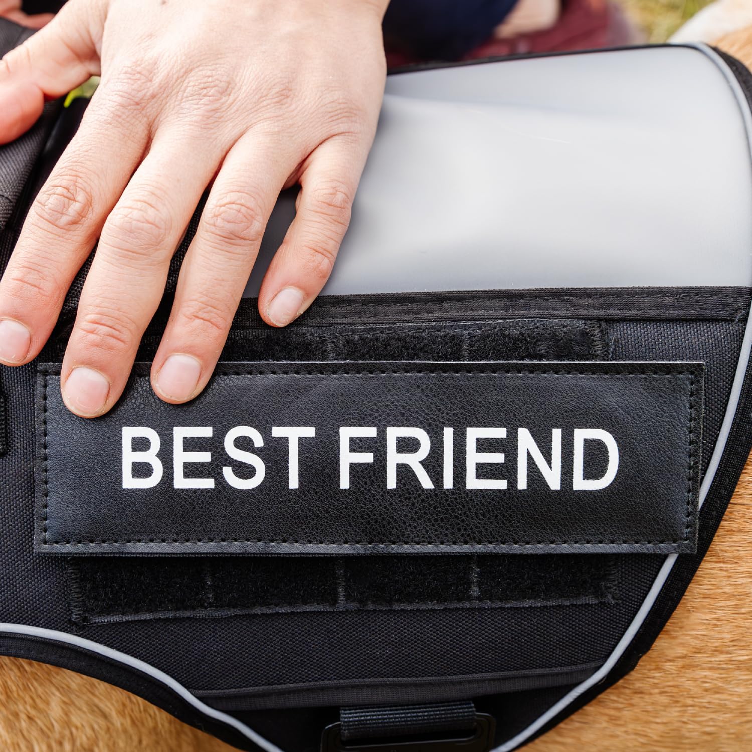 Captain Dog XXL Clear Pocket for Cell Phone on-the-go.