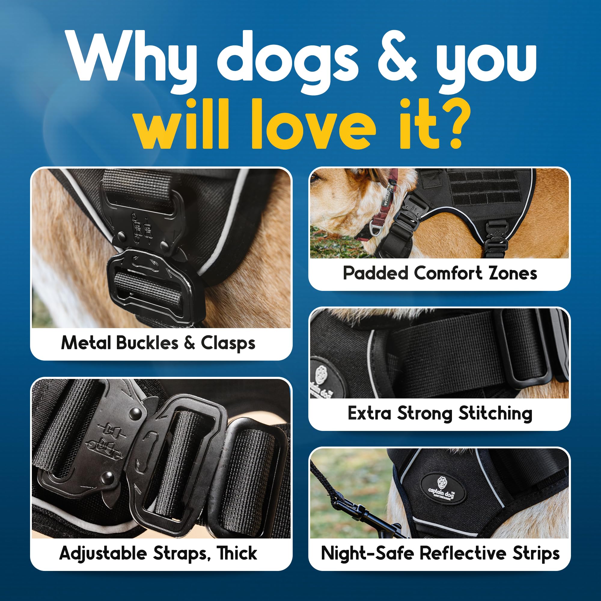 Captain Dog XXL MOLLE System visible for extra gear.