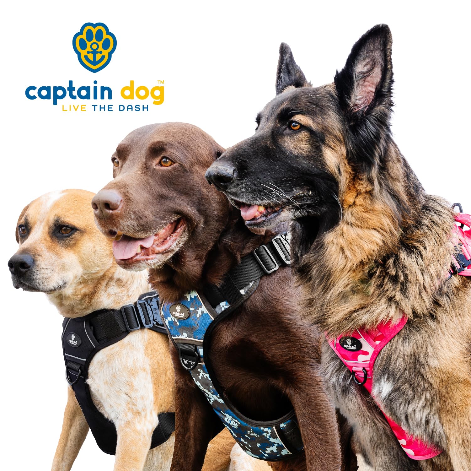 Captain Dog XXL Reflective Straps for high-visibility nighttime walks.