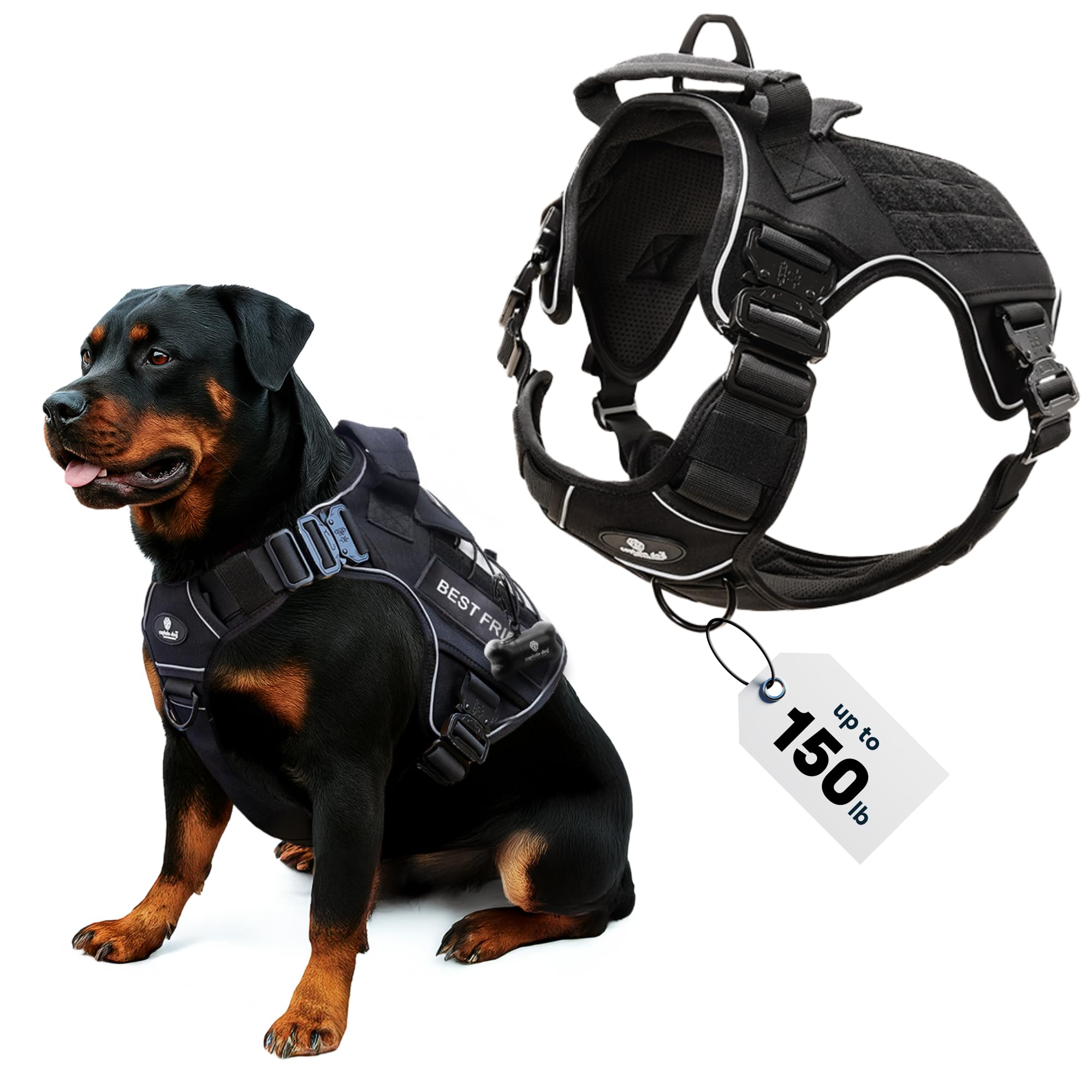 Captain Dog XXL Xdog Vest No Pull with reflective trim for safer evening walks.