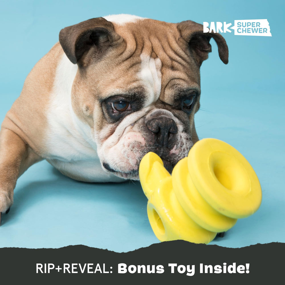 Captain Parrot multi-layer design blends plush and rubber durability.