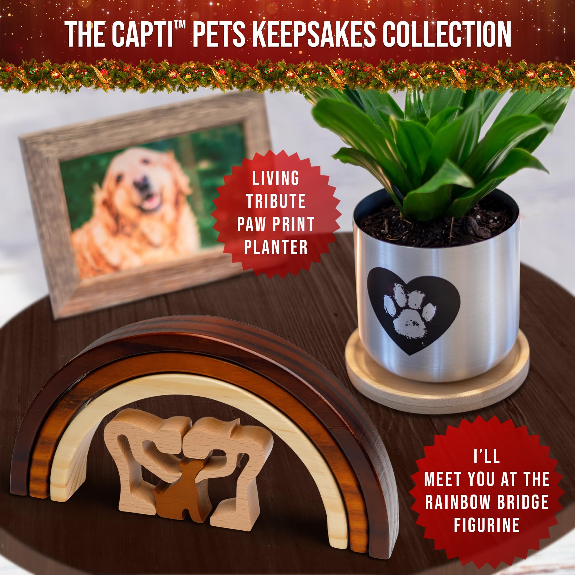 Capti-nameless-pictureless-remembrance echoes reunion with loved pets beyond the rainbow.