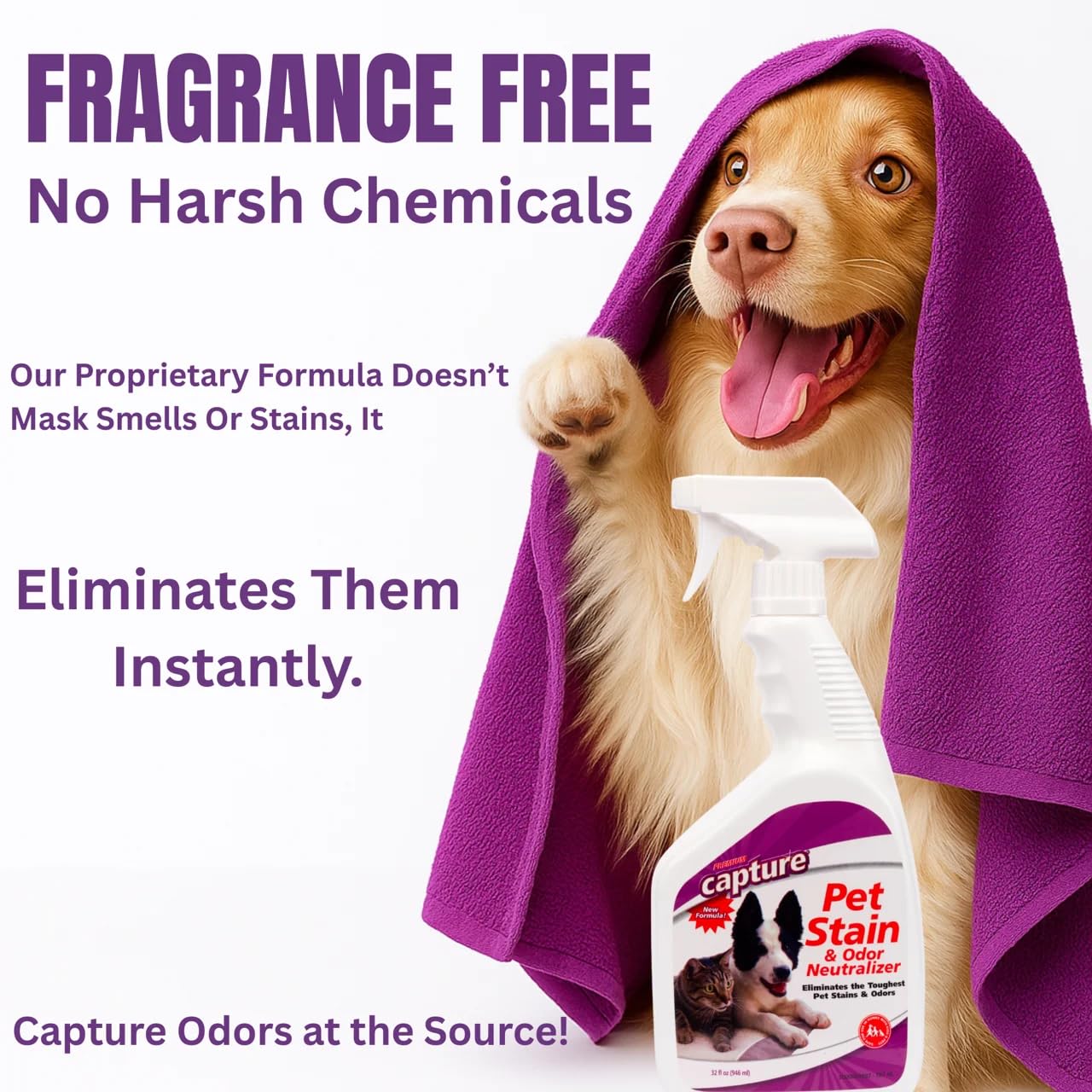 Capture Pet Stain & Odor Remover spray action demonstrates easy spot-cleaning for pet accidents.