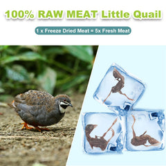 Capuca freeze-dried quail treats close-up highlighting crisp texture and real meat flavor