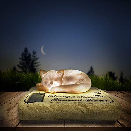 Carchistan solar light cat memorial statue glowing at night for garden remembrance.