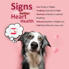 CardioMAX bottle label highlights antioxidant-rich nutrients for canine heart support