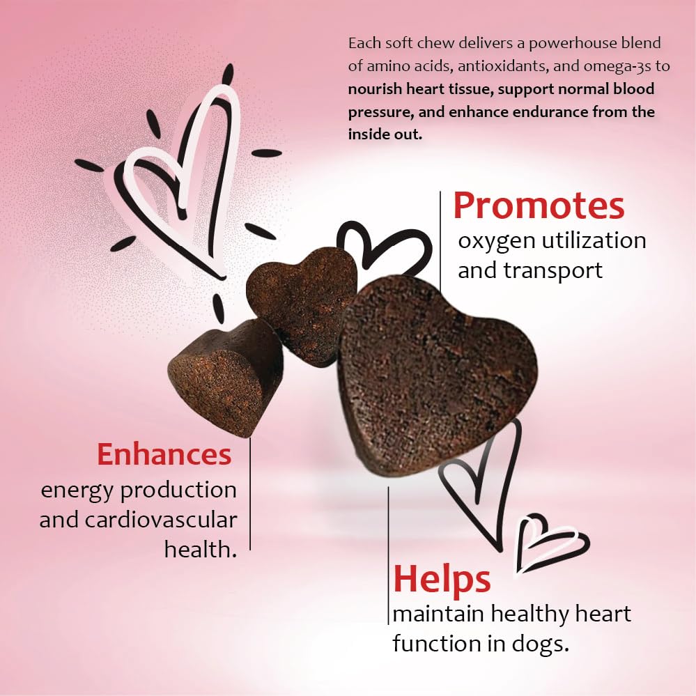 CardioMAX serving dish demonstrates easy daily supplementation for dogs