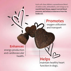 CardioMAX serving dish demonstrates easy daily supplementation for dogs