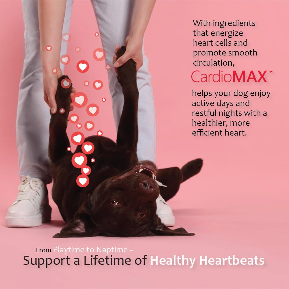 CardioMAX USA-made badge confirms domestic production and quality